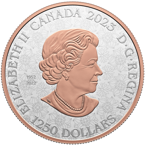 Pièce 10 onces en platine Beauté 2023 | Monnaie royale canadienne