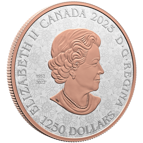 Pièce 10 onces en platine Beauté 2023 | Monnaie royale canadienne