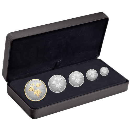 Set of 5 x 2023 Autumns Beauty Fractional Silver Coins | Royal Canadian Mint