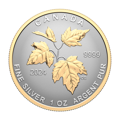 Set of 5 x 2023 Autumns Beauty Fractional Silver Coins | Royal Canadian Mint