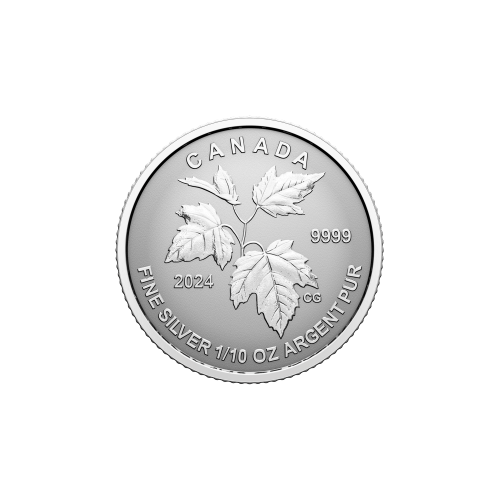 Set of 5 x 2023 Autumns Beauty Fractional Silver Coins | Royal Canadian Mint