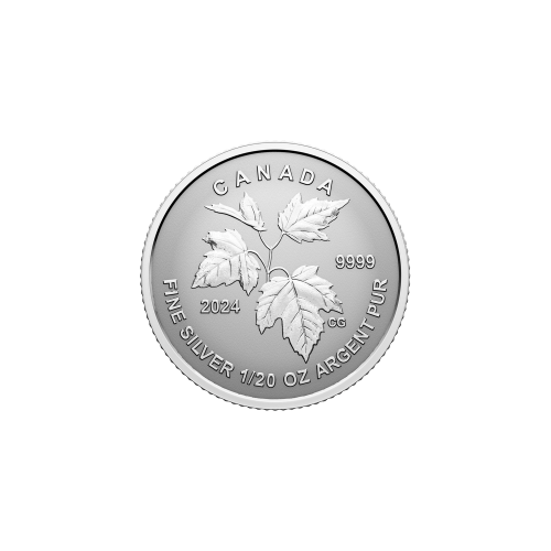 Set of 5 x 2023 Autumns Beauty Fractional Silver Coins | Royal Canadian Mint