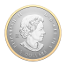 Set of 5 x 2023 Autumns Beauty Fractional Silver Coins | Royal Canadian Mint