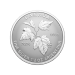 Set of 5 x 2023 Autumns Beauty Fractional Silver Coins | Royal Canadian Mint
