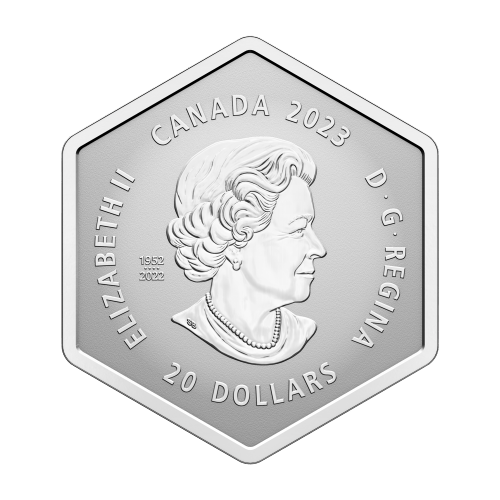 Pièce 1 once en forme de flocon de neige 2023 | Monnaie royale canadienne
