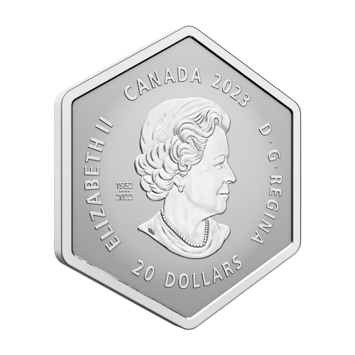 Pièce 1 once en forme de flocon de neige 2023 | Monnaie royale canadienne