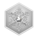 Pièce 1 once en forme de flocon de neige 2023 | Monnaie royale canadienne