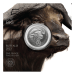 1 oz 2023 Big 5 Series: Cape Buffalo Silver Coin in Card | South African Mint