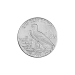 1/10 oz Incuse Indian Silver Round | Silvertowne Mint