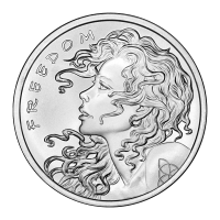 Silver Shield Silver Rounds