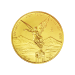 Set of 5 x 2023 Mexican Libertad Proof Gold Coins | Mexican Mint