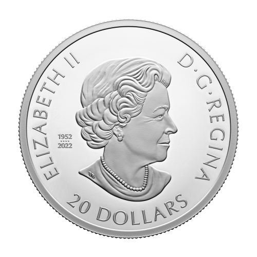 1 oz 2023 Remembrance Day Silver Coin | Royal Canadian Mint