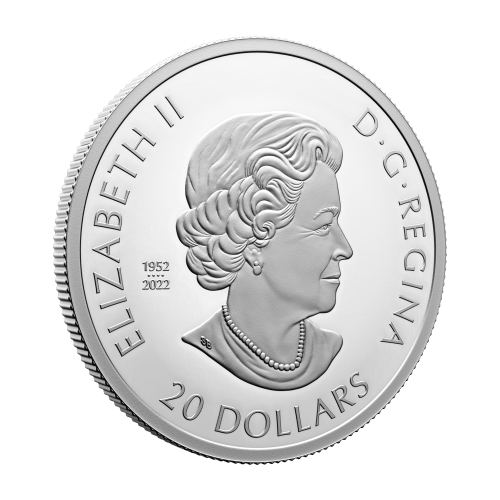 1 oz 2023 Remembrance Day Silver Coin | Royal Canadian Mint