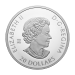 1 oz 2023 Remembrance Day Silver Coin | Royal Canadian Mint