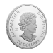 1 oz 2023 Remembrance Day Silver Coin | Royal Canadian Mint