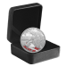 1 oz 2023 Remembrance Day Silver Coin | Royal Canadian Mint