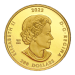 1 oz 2023 100th Anniversary of the Birth of Jean Paul Riopelle Gold Coin | Royal Canadian Mint