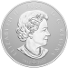 1 kilo 2024 Pulsating Maple Leaf Silver Coin | Royal Canadian Mint