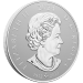 1 kilo 2024 Pulsating Maple Leaf Silver Coin | Royal Canadian Mint