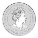 1 oz 2024 Lunar Year of the Dragon Silver Coin | Perth Mint