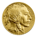 Pièce 1 once d'or Bison 2024 | Monnaie des États-Unis