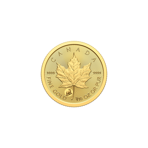 1/10 oz 2024 Treasured Maple Leaf Polar Bear Privy Mark First Strike Gold Coin | Royal Canadian Mint