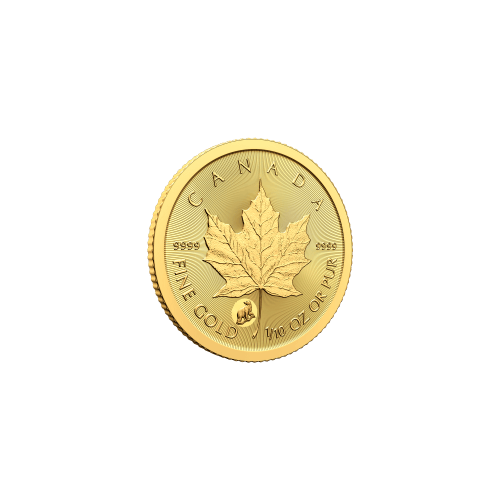 1/10 oz 2024 Treasured Maple Leaf Polar Bear Privy Mark First Strike Gold Coin | Royal Canadian Mint