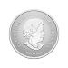 1/2 oz 2024 Welcome to the World: Baby Gift Silver Coin | Royal Canadian Mint