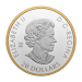 1 oz 2024 Celebrate Love Gilded Silver Coin | Royal Canadian Mint