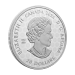 1 oz 2024 Celebrating Canada's Diversity: Transcendence and Tranquility Silver Coin | Royal Canadian Mint