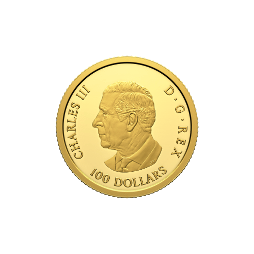 1/4 oz 2024 100th Anniversary of the Royal Canadian Airforce Gold Coin | Royal Canadian Mint