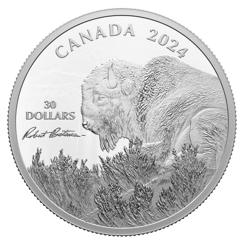 Pièce 2 onces d'argent Weather Watch : Bison Robert Bateman 2024 | Monnaie royale canadienne