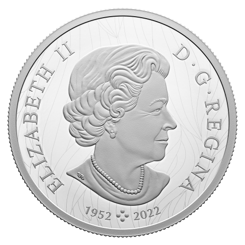 Pièce 2 onces d'argent Weather Watch : Bison Robert Bateman 2024 | Monnaie royale canadienne