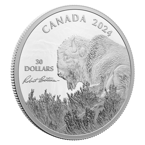 Pièce 2 onces d'argent Weather Watch : Bison Robert Bateman 2024 | Monnaie royale canadienne