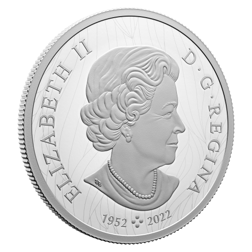 Pièce 2 onces d'argent Weather Watch : Bison Robert Bateman 2024 | Monnaie royale canadienne