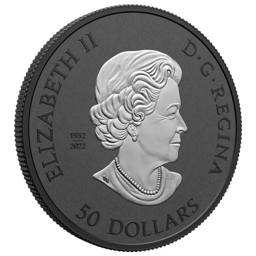 Pièce 5 onces d'argent plaqué rhodium noir Feuilles d'érable dans le vent 2024 | Monnaie royale canadienne