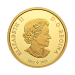 1/2 oz 2024 Tall Ships: Topsail Schooner Gold Coin | Royal Canadian Mint