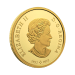 1/2 oz 2024 Tall Ships: Topsail Schooner Gold Coin | Royal Canadian Mint