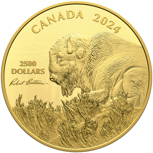 1 kilo 2024 Robert Bateman Weather Watch: Bison Gold Coin | Royal Canadian Mint