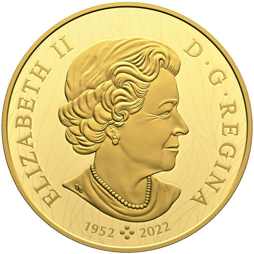 1 kilo 2024 Robert Bateman Weather Watch: Bison Gold Coin | Royal Canadian Mint