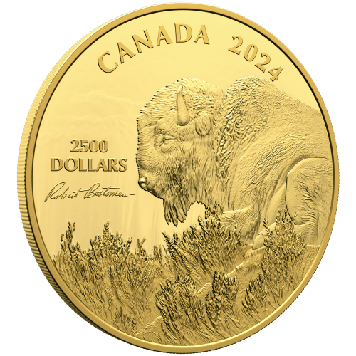 1 kilo 2024 Robert Bateman Weather Watch: Bison Gold Coin | Royal Canadian Mint