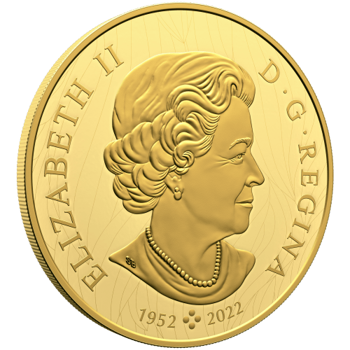 1 kilo 2024 Robert Bateman Weather Watch: Bison Gold Coin | Royal Canadian Mint