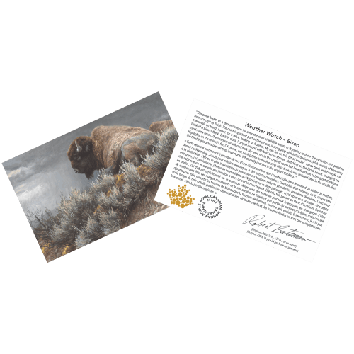 1 kilo 2024 Robert Bateman Weather Watch: Bison Gold Coin | Royal Canadian Mint