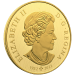 1 kilo 2024 Robert Bateman Weather Watch: Bison Gold Coin | Royal Canadian Mint