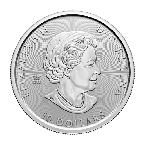 Tube de 14 pièces 2 onces d'argent Période glaciaire : Tigre à dent de sabre 2023 | Monnaie royale canadienne
