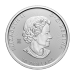 Tube de 14 pièces 2 onces d'argent Période glaciaire : Tigre à dent de sabre 2023 | Monnaie royale canadienne