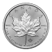 Pièce 1 once de platine Feuille d'érable canadienne 2024 | Monnaie royale canadienne