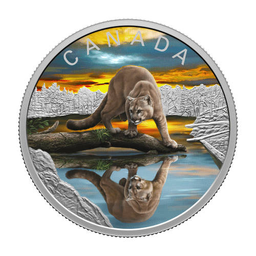 1 oz 2024 Wildlife Reflections: Cougar Silver Coin | Royal Canadian Mint