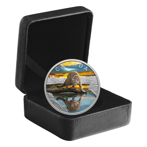 1 oz 2024 Wildlife Reflections: Cougar Silver Coin | Royal Canadian Mint