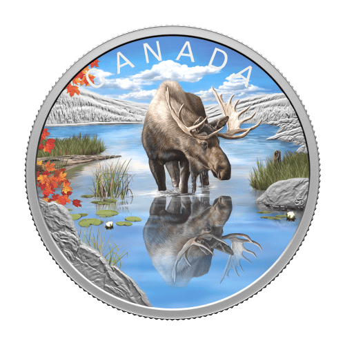 1 oz 2024 Wildlife Reflections: Moose Silver Coin | Royal Canadian Mint